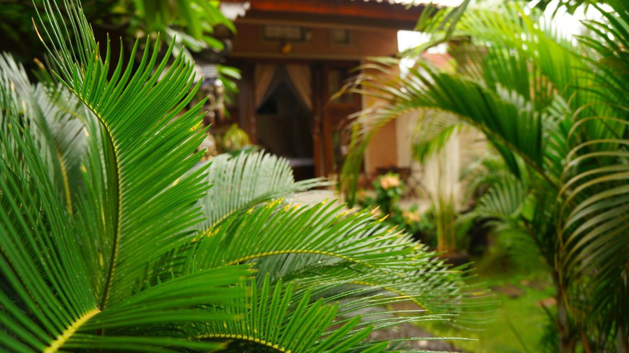 Rumahku Homestay Amed Exteriör bild